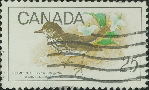 CANADA - CIRCA 1969 stamp printed by Canada, shows bird Hermit Thrush Catharus guttatus , circa 1969