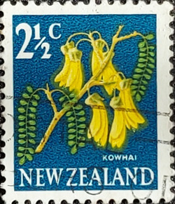 Stamp: Kowhai (Sophora microphylla) (New Zealand) (Pictorial Definitives)