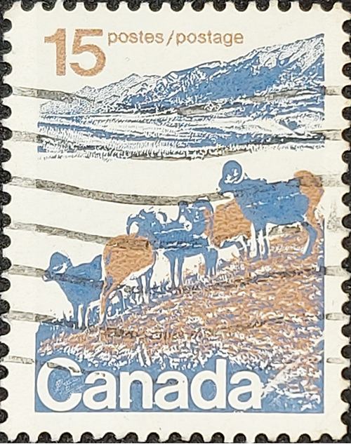 Close up of Canada stamps featuring landscape with bighorn sheep.