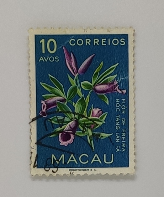 Macau Stamp 1953 10 Avos Flowers Flor De Freira