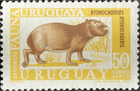 URUGUAY STAMP: HYDROCHOERUS