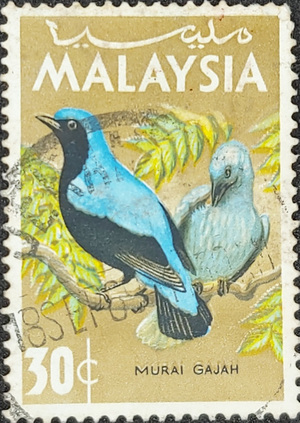 Malaysia 1965 Birds