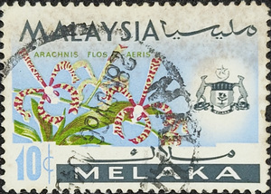 Stamp: Arachnis flos-aeris (Federal Malay States)