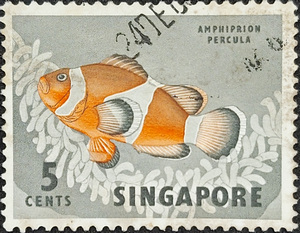 Singapore 1962 Orange Clown Fish Fine Used
