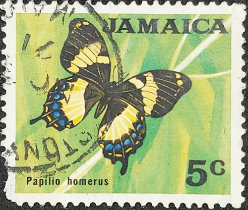 JAMAICA Papilio homerus
