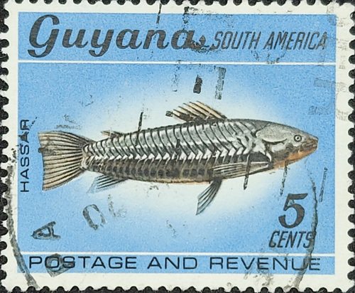 Guyana 1968 SOUTH AMERICA Armoured Catfish