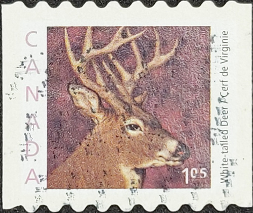 CANADA POST WHITE-TAILED DEER