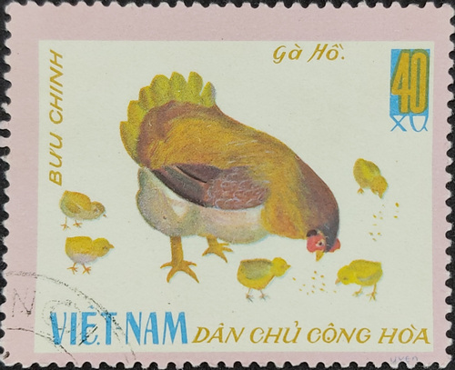 Stamp: Ho Chicken Vietnam