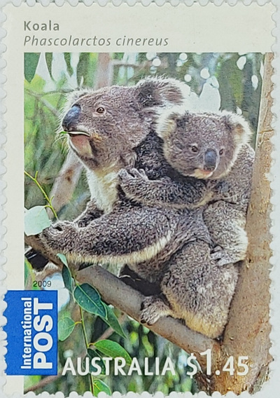 AUSTRALIA STAMP Koala Phascolarctos cinereus