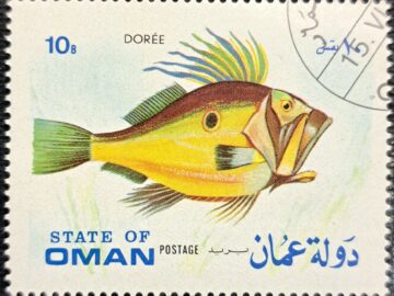 Dory FISH