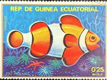 REP.DE GUINEA ECUATORIAL