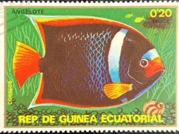 REP.DE GUINEA ECUATORIAL ANGELOTE