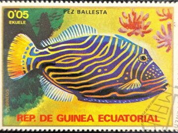 REP.DE GUINEA ECUATORIAL PEZ BALLESTA