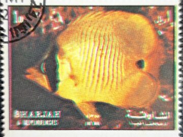STAMPS-FISH